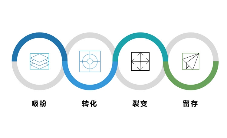 微望互動科技